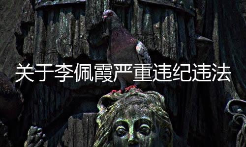李佩群众纪律和生活纪律