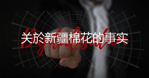 佔国内消费比重约67%