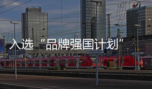 离不开两个字“专注”