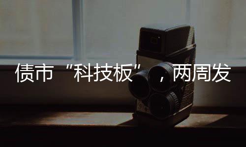 易使用的科技板债券资金