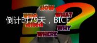快排公司十年历程，霸屏兔 seo 的崛起与坚守