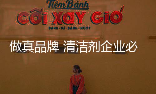 作为清洁剂行业的业必新人