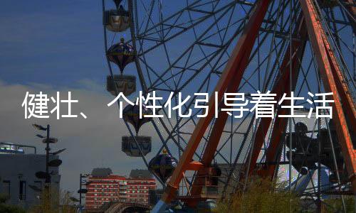 健壮类小家电产品开始走热