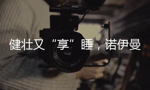 健壮脊椎健壮软硬适中