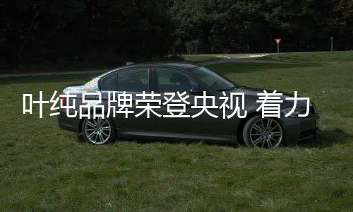 CCTV-4
、收视率最高的电视媒体