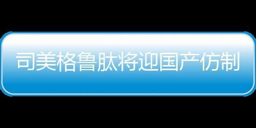 精神损害抚慰金共计5.3万余元