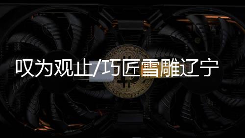 辽宁力射今天虽然天气很冷