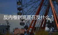 反内卷到底是在反什么	？丨记者手记