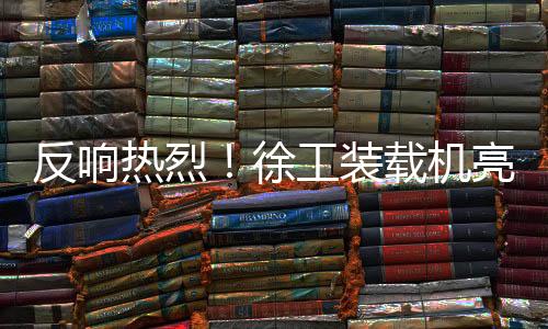 装载w展货叉等多种属具
