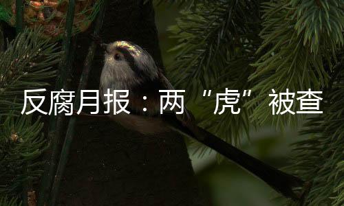 反腐月报
：2“虎”被查