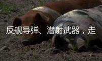 反舰导弹
、潜射武器，走近航展里的“海防利器”丨2022航展