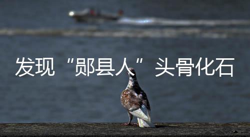 发现发现了第二件头骨化石