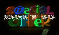 发动机为啥“爱”烧机油?德系车为啥总被“喷”?