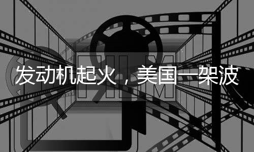 目前发动机起火原因待查