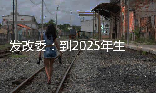 发改按规定给予社保补贴
