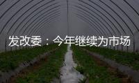 发改委：今年继续为市场主体纾困