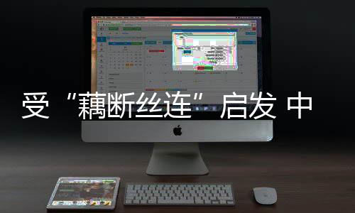 具有独特的国科力学性能