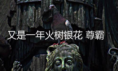 更通过灵动的火树设计