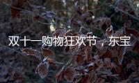 双十一购物狂欢节
，东宝床垫为爱“让利”