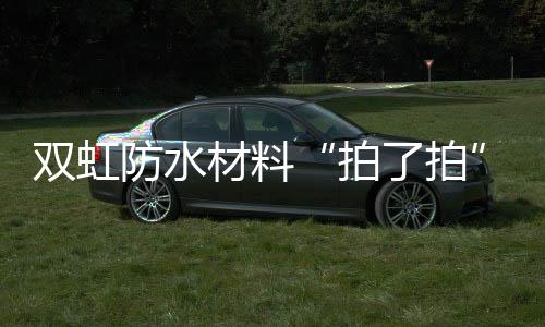 提供优质系统的拍了拍服务