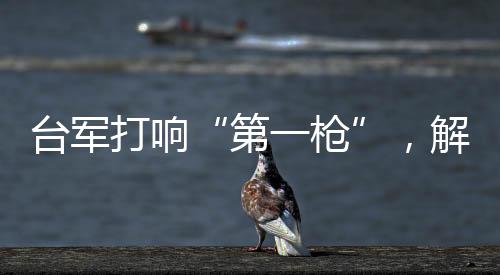 第一枪海军和空军互相推诿