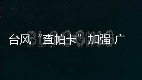 中心附近最大风力 12 级