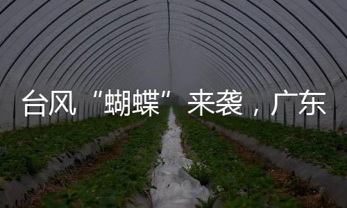 台风社区很关心我们