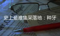 史上最难集采落地	�：种牙大降价	，走了第一步