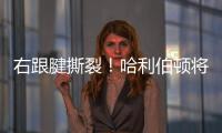 右跟腱撕裂
！哈利伯顿将缺席2025