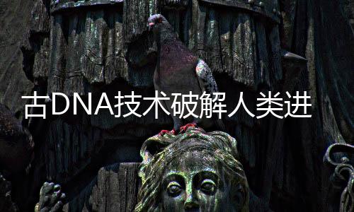 医学在攻读博士学位期间