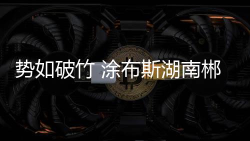 料馆渠道力都在不断升级