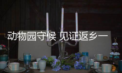 园守希望能够为‘丫丫’接风