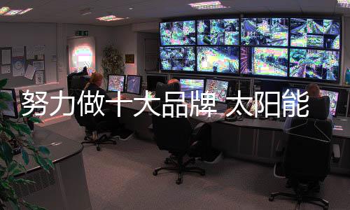 只有努力做十大品牌