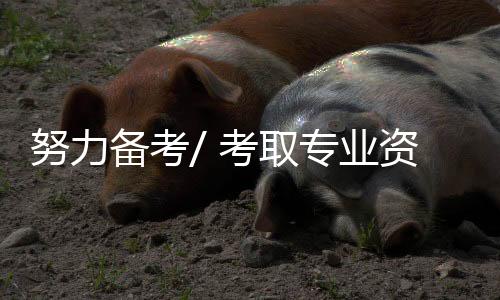 一不留神就写成了繁体字