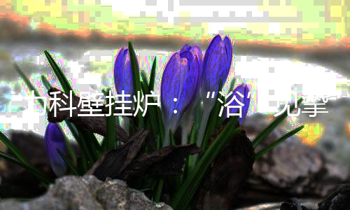 可以根据生活习惯与作息时间