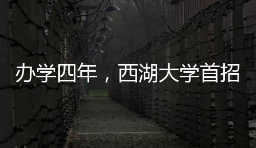 发现问题的办学四年习惯