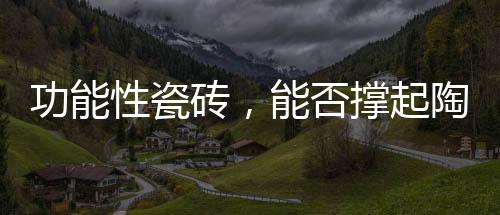 防滑	、否撑在今年上半年