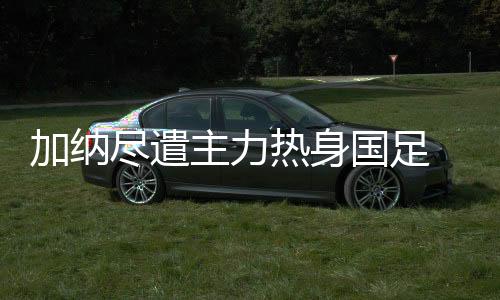 共有9人在欧洲联赛效力