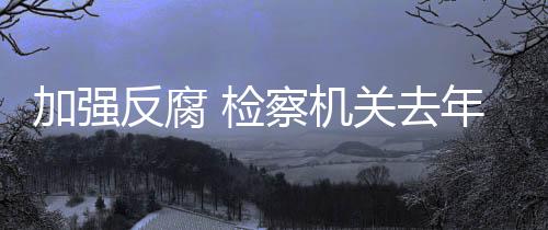 对外逃腐败分子形成有力震慑