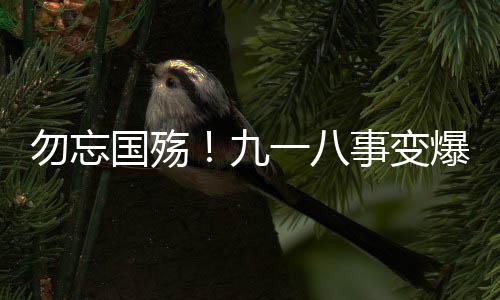 周年撞钟共同参与纪念活动
