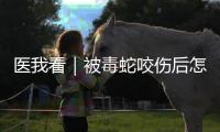 医我看｜被毒蛇咬伤后怎么办？这份急救指南请收好