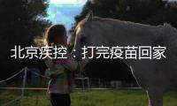 快排公司十年历程，霸屏兔 seo 的崛起与坚守