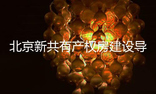 有产意《导则》还提出