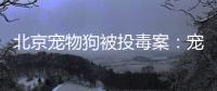 北京宠物狗被投毒案：宠物如何定价
，犬主能否诉精神赔偿
