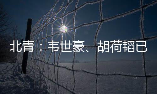 据《北京青年报》的北青报道