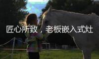 匠心所致，老板嵌入式灶具连续5年全球销量领先