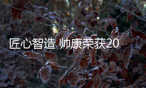 成效显著的帅康互动营销活动