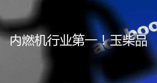 业第玉柴跃升元品牌建设