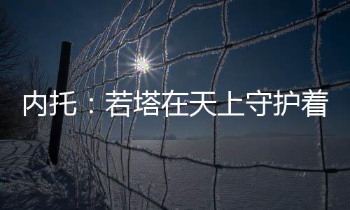 内托以若塔的若塔性格