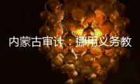 内蒙古审计：挪用义务教育经费2.65亿元
，18名公职人员入股银行